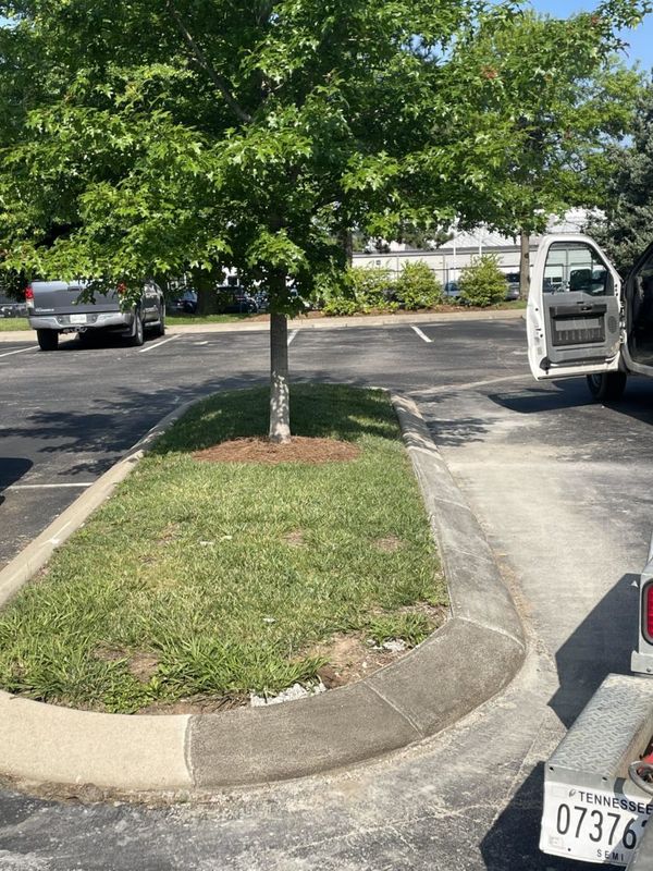 Curb Replacement - Berry Hill, TN, Berry Hill, TN